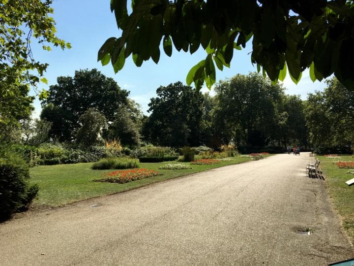 Flower beds in Finsbury Park
